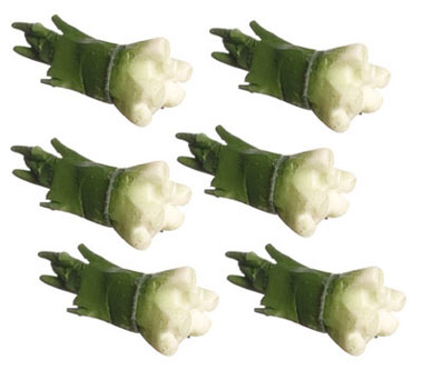 Dollhouse Miniature Green Onions/6Pc